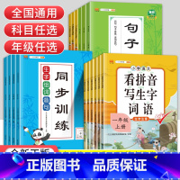 单本]阅读理解 二年级下 [正版]看拼音写词语一二三四五六年级上册下册小学语文拼音拼读同步训练生字注音组词造句仿写句子专