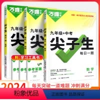 ❤️3本套装❤️9年级[数学+物理+化学] 2024版⭐配答案详解册 初中通用 [正版]2024版尖子生每日一题第3版数