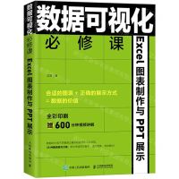 [N]数据可视化必修课(Excel图表制作与PPT展示全彩印刷)-9787115556295