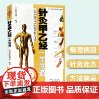 针灸甲乙经一学就通 一目了然学中医丛书 林政宏编著 图文详解 病理病因 针灸处方 清晰图解 针灸经络穴位挂图书籍 针灸治
