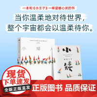小矮人 小王子一样温暖心灵的书 当你温柔地对待世界 整个宇宙都会以温柔待你 儿童压力解除暖心幻想绘本书籍