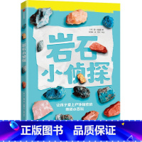 岩石小侦探(让孩子爱上户外探索的地质小百科) [正版]7-14岁岩石小侦探 让孩子爱上户外探索的地质小百科 丹格林著 地