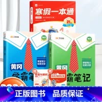 寒假一本通[苏教版]+学霸笔记语数下册[苏教版] 小学六年级 [正版]乐读寒假一本通预复习小学一年级二年级寒假衔接作业三