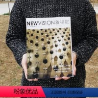 [正版] 新视觉上下2册 柳莹 美与神圣 水墨风雨三十年现代艺术考古学上下两册中国当代艺术价值体系 北京工艺美术出版