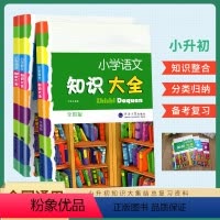 [知识大全3本]语数英-全国通用 小学升初中 [正版]小升初语文数学英语知识大全全国通用人教版小学生一二三四五六年级资料