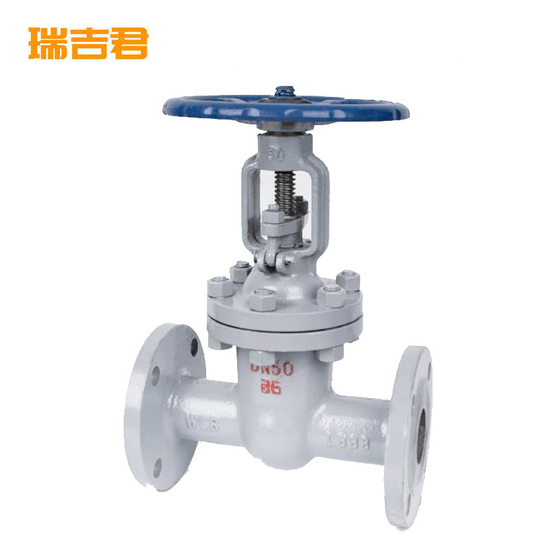 瑞吉君 法兰铸钢闸阀 DN50 单位:个