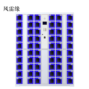 风雷缘智能手机柜存放柜存包柜储物柜60门透明款