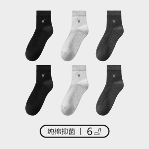 花花公子全棉男袜中筒春夏四季男士薄款透气防臭吸汗棉袜子男纯棉