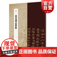 高昌砖志墨迹 书苑拾遗吐鲁番楷书碑帖丝绸之路墓墨迹上海辞书出版社王祎主编冯威编书法艺术篆刻素材专家撰写导言释文