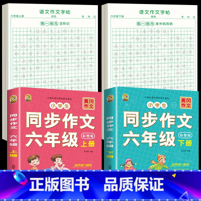 [6年级上下册]同步作文+同步作文字帖 [正版]六年级上册同步作文练字帖人教版2024年满分作文语文同步素材积累字帖每日