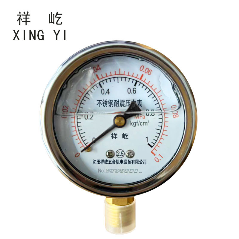 祥屹+不锈钢耐震压力表检测定制型+YN60BF +块