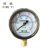 祥屹+不锈钢耐震压力表检测定制型+YN60BF +块