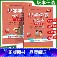 [广东专版]语文+数学-人教版 一年级上 [正版]2024版小学学霸作业本语文统编版数学人教版北师版一年级下册上册RJ版