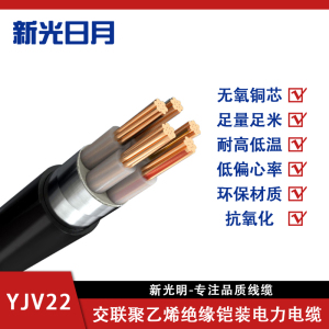 新光日月阻燃交联聚乙烯绝缘铠装电力电缆ZC-YJV22 2×25mm²/米
