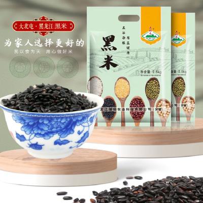 大北屯黑米2.5kg东北一级五谷杂粮米5斤粥米粗粮原料