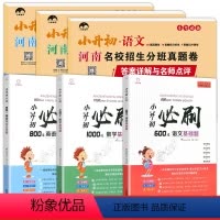 河南版[小升初试卷+必刷题]共6册 小学升初中 [正版]郑州小升初真题卷2024河南重点名校小升初分班考试卷人教版语文英