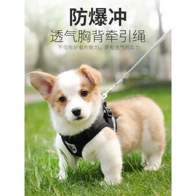 背心式狗狗牵引绳小型犬胸背带泰迪柯基米妮小狗幼犬狗链子遛狗绳胸背_红色送牵引绳_XL-超大型适合15-20斤宠物