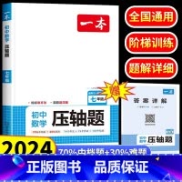 初中数学压轴题 七年级/初中一年级 [正版]2024新七年级数学压轴题初中数学有理数方程初一数学必刷题上册人教版数学解题