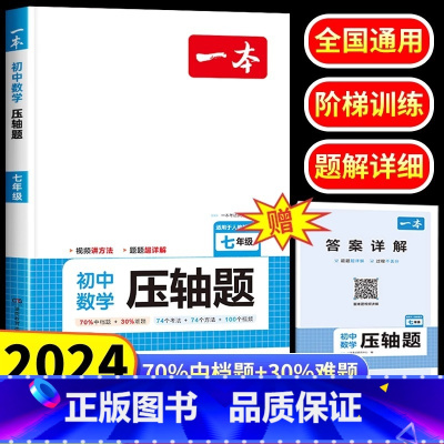初中数学压轴题 七年级/初中一年级 [正版]2024新七年级数学压轴题初中数学有理数方程初一数学必刷题上册人教版数学解题