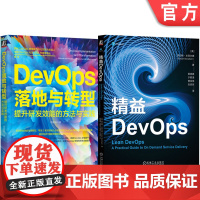 正版套装 DevOps落地与转型 提升研发效能的方法与实践+精益DevOps 全2册 DevOps基础理论核心技术教