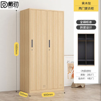 戴劲钢制仿木纹转印更衣柜员工宿舍铁皮衣柜鞋柜办公室储物柜二门A款