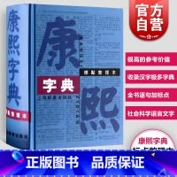 [正版]康熙字典标点整理本 汉语大词典编纂处书籍部首分类法笔画排列单字共收录汉字47035学术实用性高水平 上海辞书出