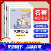 全套3册]中考名著速读导读必读12部+24部+中考名著真题全刷 [正版]人教版全套5册 九年级必读名著艾青诗选和水浒传原