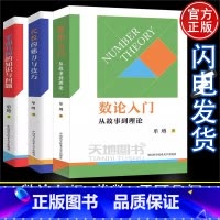 [全套3册]数论/平面几何/代数 初中通用 [正版]中科大 数论入门从故事到理论平面几何的知识与问题代数的魅力与技巧