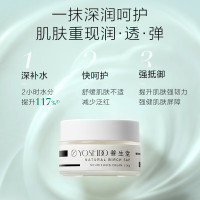 养生堂天然桦树汁补水保湿霜50g/瓶