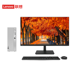 联想(Lenovo)天逸510S 个人商务台式机电脑整机 定制(i5-14400 16G 2TB机械+512G SSD wifi6 win11 键鼠 三年上门)配27英寸显示器