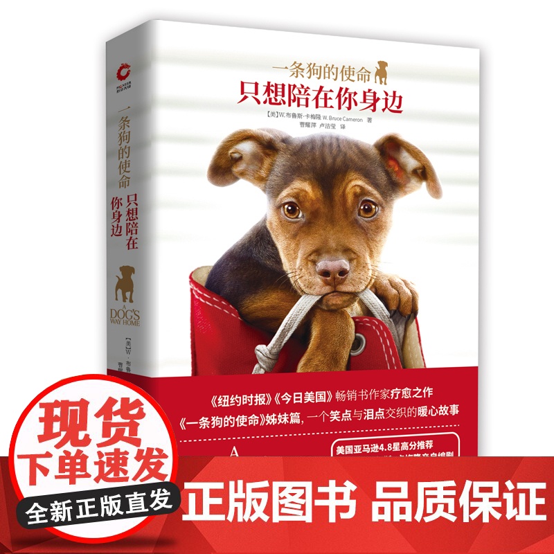 [ 正版书籍]一条狗的使命:只想陪在你身边 美国书作家疗愈之作 随书附赠狗狗超萌立体纸模