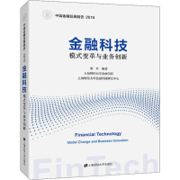 音像金融科技 模式变革与业务创新邓辛