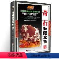 [正版]精装奇石鉴藏全书 沈泓编著一本全面介绍奇石的发展图书中国艺术品奇石收藏与鉴赏云林石谱全集图书书籍
