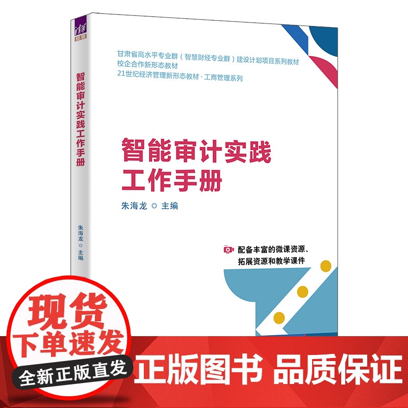 智能审计实践工作手册 朱海龙等著 9787302683483 清华大学出版社 21世纪经济管理新形态教材工商管理系列