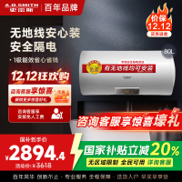 AO史密斯80升电热水器 无地线可安装 专利安全隔电 金圭内胆 速热节能 一键中温保温E80VDS 预约洗浴