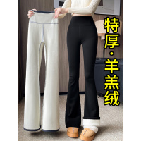 微喇鲨鱼裤女外穿秋冬季加绒加厚羊羔绒打底裤高腰提臀瑜伽喇叭裤