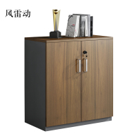 风雷动办公室矮柜储物柜文件柜2门
