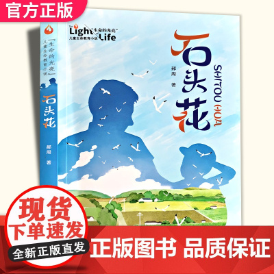 石头花书郝周 生命的光亮 儿童生命教育小说 小学生课外阅读书籍三四五年级8-9-10-12岁儿童成长励志故事书儿童文学非