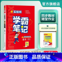 [3本套装]语文+数学+英语 人教版 三年级上 [正版]2024年秋 小学实验班学霸笔记三年级语文上册人教版 春雨教育3