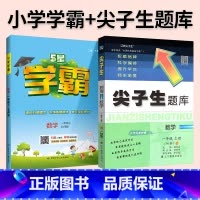 难度升级[尖题+学霸]数学 北师版 2本 四年级下 [正版]2024春尖子生题库二三年级四五年级六一年级上下册数学语文人