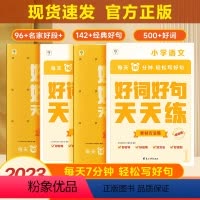好词好句基础版+进阶版 小学通用 [正版]好词好句天天练基础版+进阶版 小学生语文好词好句好段大全小学专项练习复习同步辅