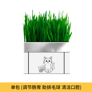 [补贴10%]猫草盆栽化毛草种子非已种好懒人小麦种子猫咪零食品水培营养种植
