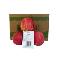 钿满堂红富士苹果10kg/箱