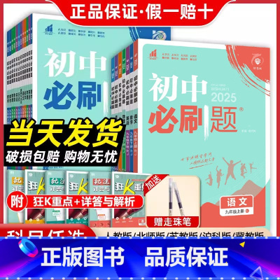 [-九年级 全套7册]人教版 九年级上 [正版]2025初中必刷题九年级上册下册数学语文英语物理政治历史化学人教版初