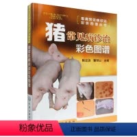 [正版] 2014新版 猪常见病诊治彩色图谱 畜禽常见病猪病防治技术教程书 猪病兽医书籍 科学养猪养猪技术大全书籍