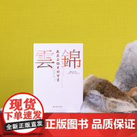 藏在云锦里的智慧 南京云锦 手工艺 民俗 世界文化遗产