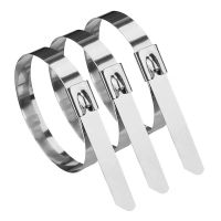 盛京联硕 304不锈钢扎带12×550mm根