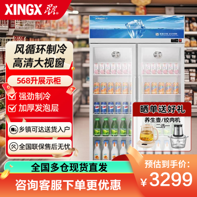星星(XINGX)568升双门展示柜铝合金边框 LOW-E玻璃门 冷藏保鲜超市冷饮陈列柜 风直冷款LGC-1000FKE
