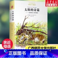 [正版]太阳的诗篇 亲近母语经典童书籍权威译本小学生三四五六年级上下册老师寒暑假课外阅读儿童文学书籍广西师范大学出版社