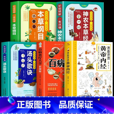 [5册]漫画讲透黄帝内经中医书籍 [正版]黄帝内经漫画图解书籍漫画讲透皇帝内经白话文彩图儿童全五册四季二十四节气养生大全